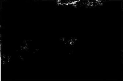 Рис. 4.14. Передний указатель поворотов