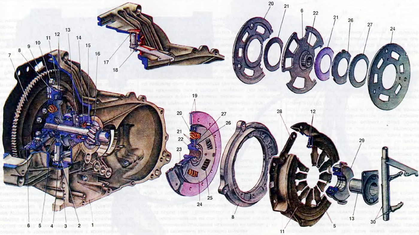 Open image in new tab