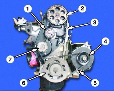 1 – натяжной ролик; 2 – шкив распределительного вала; 3 – ремень привода распределительного вала; 4…