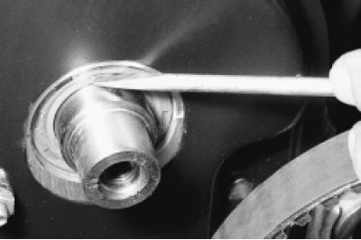 5. Поддев отверткой, выньте сальник.