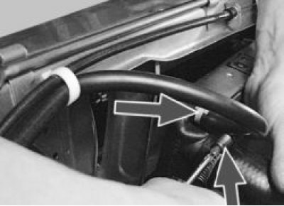 8. Disconnect the lower hose from the radiator.