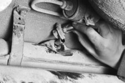 12. Loosen the clamp and disconnect the separator hose.